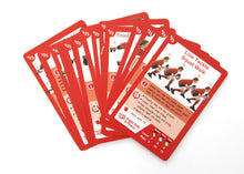 Load image into Gallery viewer, Rugby Skills & Fitness Game